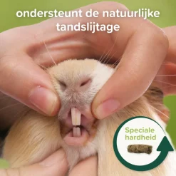 4x Beaphar Care+ Nature Cavia 1,5 kg