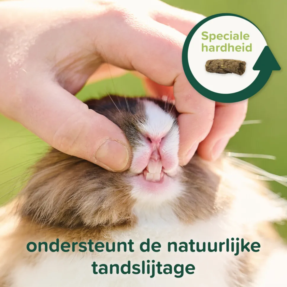 4x Beaphar Care+ Nature Konijn 1,5 kg