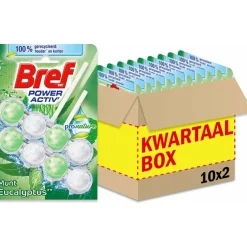 10x Bref Toiletblok Power Activ Pro Nature Munt Eucalyptus 2 stuks