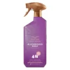 6x Bruynzeel CH Allesreinigerspray Fresh Wood 500 ml