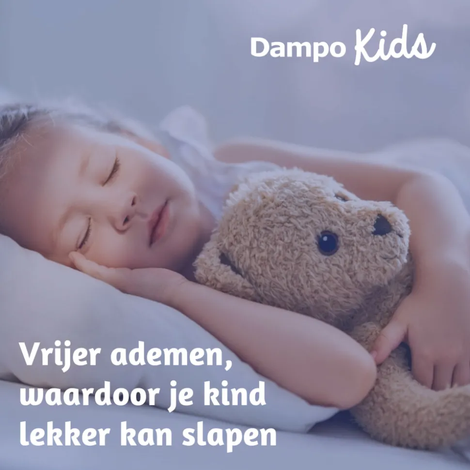 3x Dampo Inhalatiepleisters 6 sachets