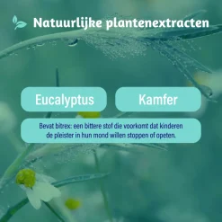 3x Dampo Inhalatiepleisters 6 sachets