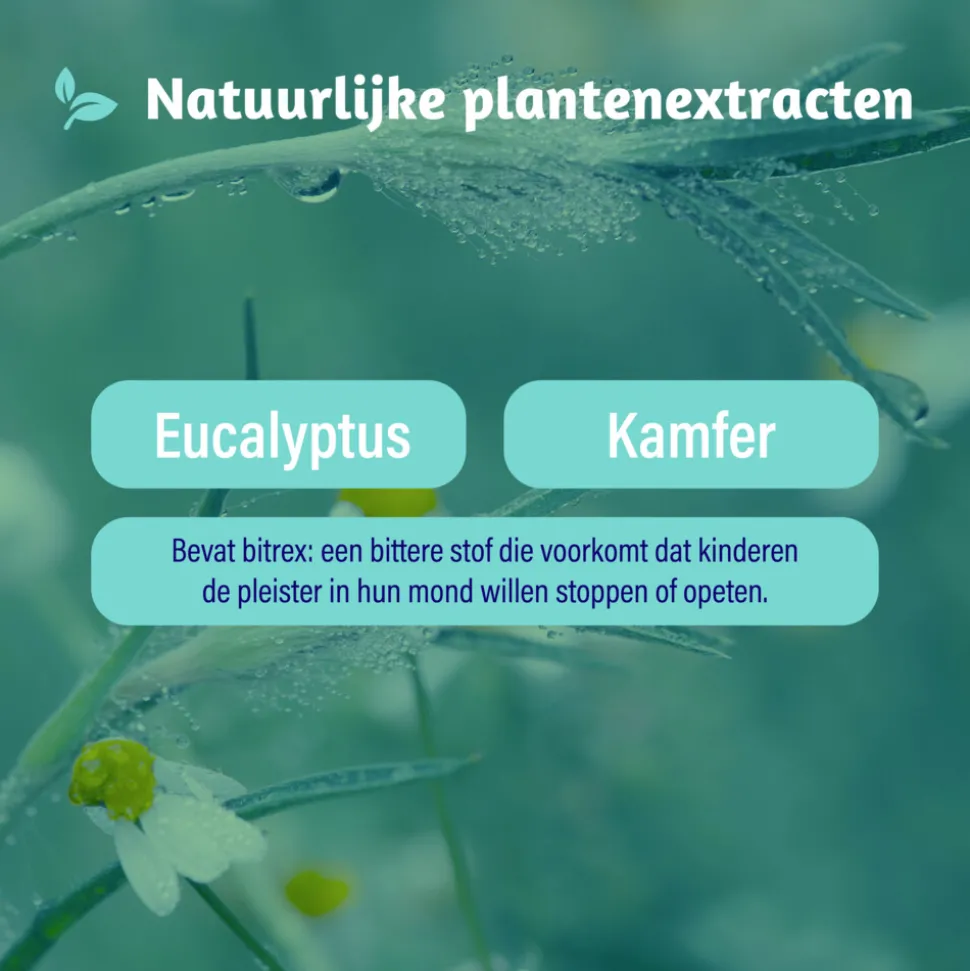 3x Dampo Inhalatiepleisters 6 sachets