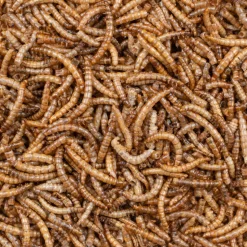 2x Deli Nature Greenline Meelwormen 700 gr