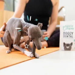 4x Edgard & Cooper Doggy Dental Sticks Small Appel - Eucalyptusolie