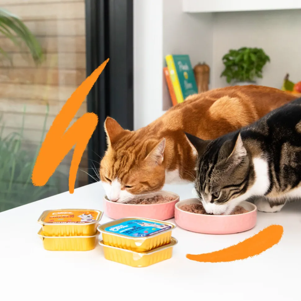 16x Edgard & Cooper Kattenvoer Pate Lam - Kip 85 gr