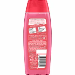 6x Fa Douchegel Fiji Dream 250 ml