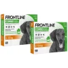 2x Frontline Combo Spot On Anti Vlooien en Teken Druppels Hond 2 - 10 kg 3 pipetten