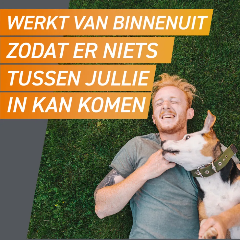 2x Frontpro Hond S 2-4 kg 3 tabletten