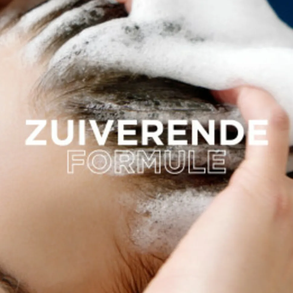 6x Garnier Loving Blends Magnetic Charcoal Shampoo 300 ml