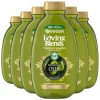 6x Garnier Loving Blends Mythische Olijf Shampoo 300 ml