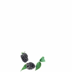 4x Guhl Conditioner Long & Loving It 200 ml