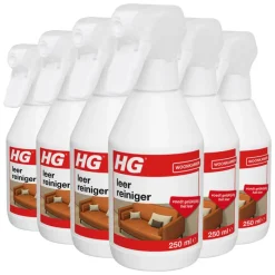 6x HG Leerreiniger 300 ml