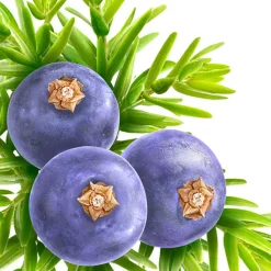 6x Kneipp Badkristallen Muscle Soothing Jeneverbes 600 gr