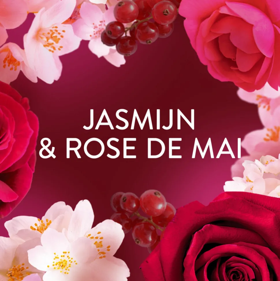 8x Lenor Wasverzachter Jasmijn & Rose de Mai 55 Wasbeurten 1155 ml