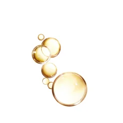 6x L'Oréal Elvive Extraordinary Oil Haarolie voor Gekleurd Haar 100 ml