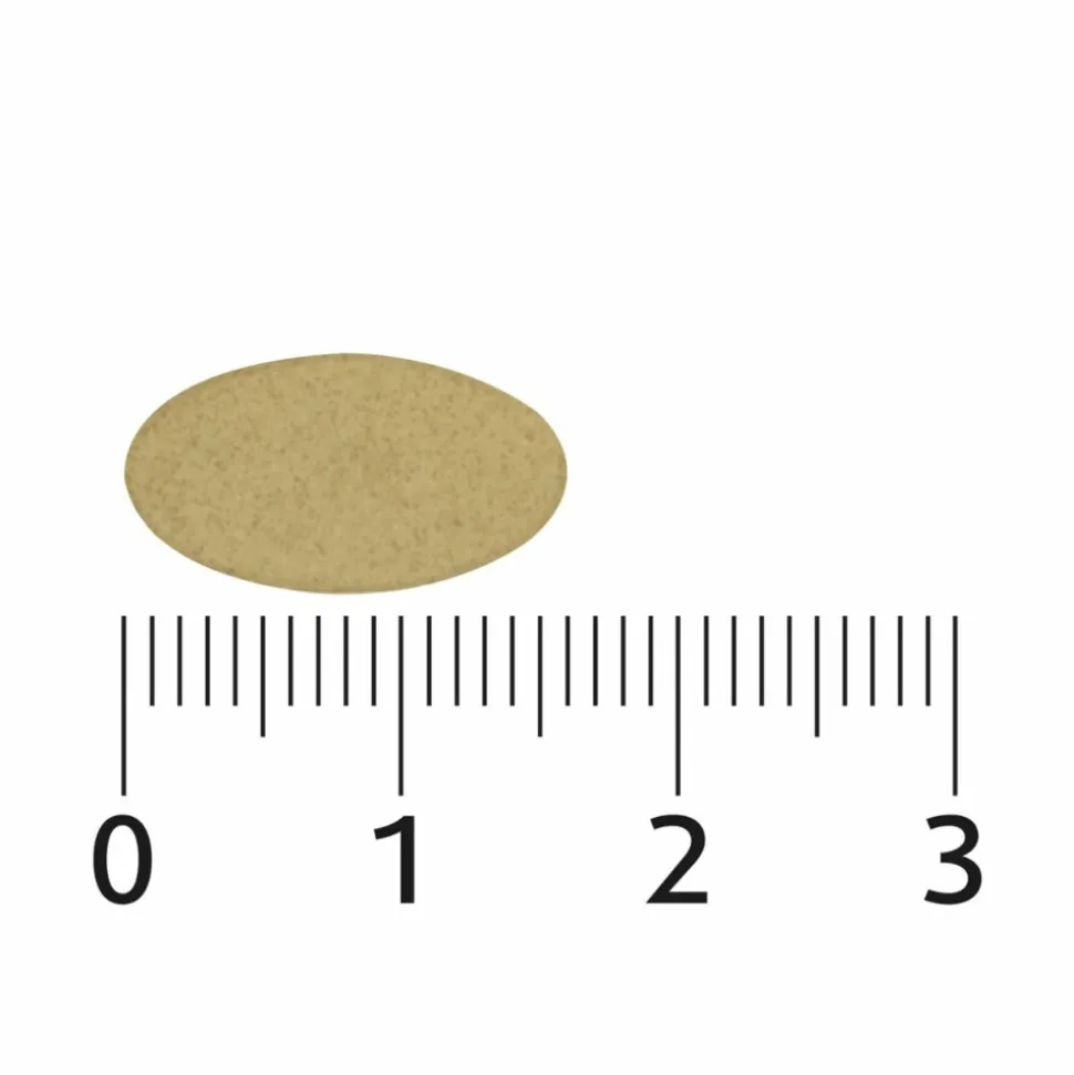 2x Lucovitaal Sterk IJzer Complex 60 tabletten