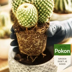 5x Pokon RHP Potgrond Cactus 5 liter