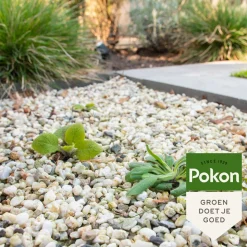 12x Pokon Tegen Onkruid Concentraat 225 ml