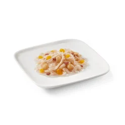 14x Schesir Hondenvoer Kip Lam in Saus 85 gr