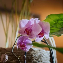 4x Sence Of Wellness Badkristallen Sleep 600 gr