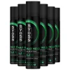 6x Syoss Max Hold Haarspray 300 ml