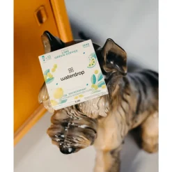 3x Waterdrop Microdrink Hydratatieblokjes Focus 12 stuks