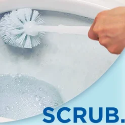 12x WC Eend Toiletreiniger Action Gel Citrus Splash 750 ml