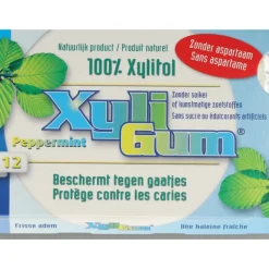 24x Xyligum Pepermunt 12 stuks