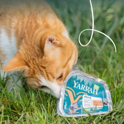 16x Yarrah Bio Alu Paté Grainfree Kattenvoer Nat Kip & Eend 100 gr
