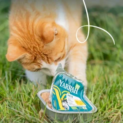 16x Yarrah Bio Alu Paté Grainfree Kattenvoer Nat Kip 100 gr