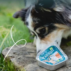 12x Yarrah Bio Alu Paté Grainfree Hondenvoer Nat Kip & Eend 150 gr