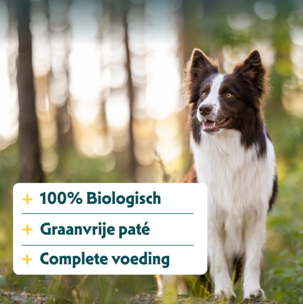 12x Yarrah Bio Hondenvoer Paté Kip 150 gr