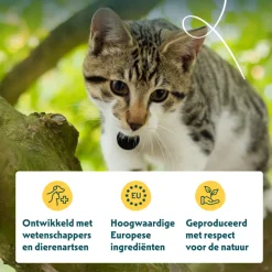 12x Yarrah Bio Kattenvoer Paté Vis 400 gr