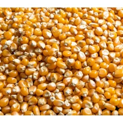 3x Your Organic Nature Pofmais Bio 400 gr