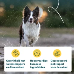 Yarrah Bio Alu Paté Grainfree Hondenvoer Nat Kip & Eend 150 gr