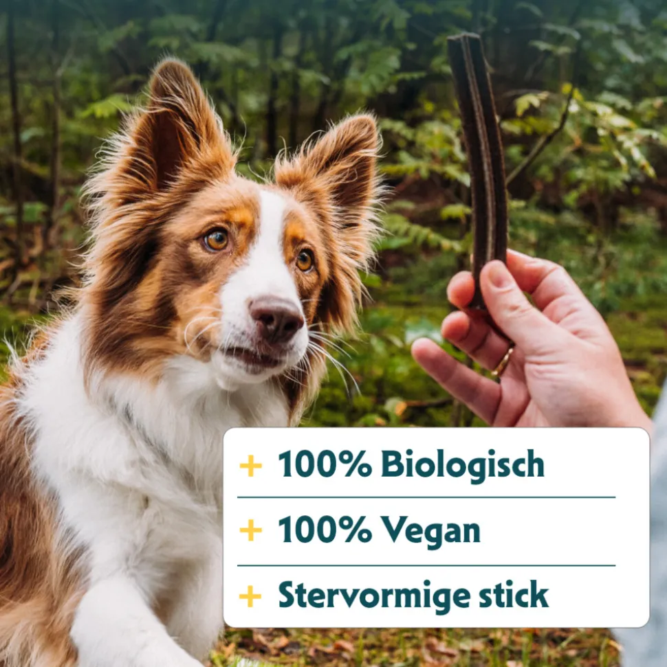 Yarrah Bio Dental Stick 180 gr