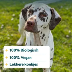 Yarrah Bio Hondenkoekjes Vegetarisch 500 gr