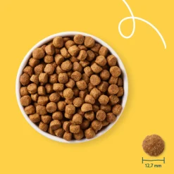 Yarrah Bio Hondenvoer Adult Kip 15 kg