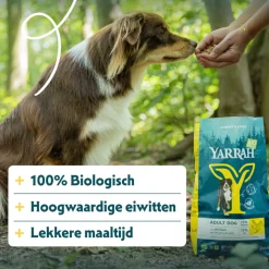 Yarrah Bio Hondenvoer Adult Kip 15 kg