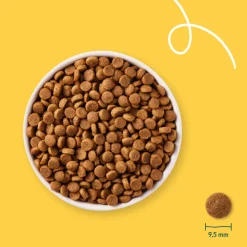 Yarrah Bio Hondenvoer Adult Small Breed Kip 2 kg