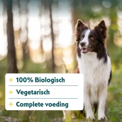 Yarrah Bio Hondenvoer Chunks Vegetarisch 150 gr