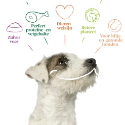 Yarrah Bio Hondenvoer Multipack Paté Graanvrij Rund & Kip 6 x 150 gr