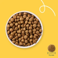 Yarrah Bio Hondenvoer Sensitive Adult Kip & Rijst 2 kg