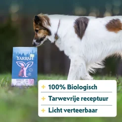 Yarrah Bio Hondenvoer Sensitive Adult Kip & Rijst 2 kg