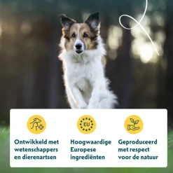 Yarrah Bio Hondenvoer Sensitive Adult Kip & Rijst 2 kg