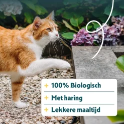 Yarrah Bio Kattenvoer Adult Vis 2,4 kg