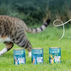 Yarrah Bio Kattenvoer Paté Kip 400 gr
