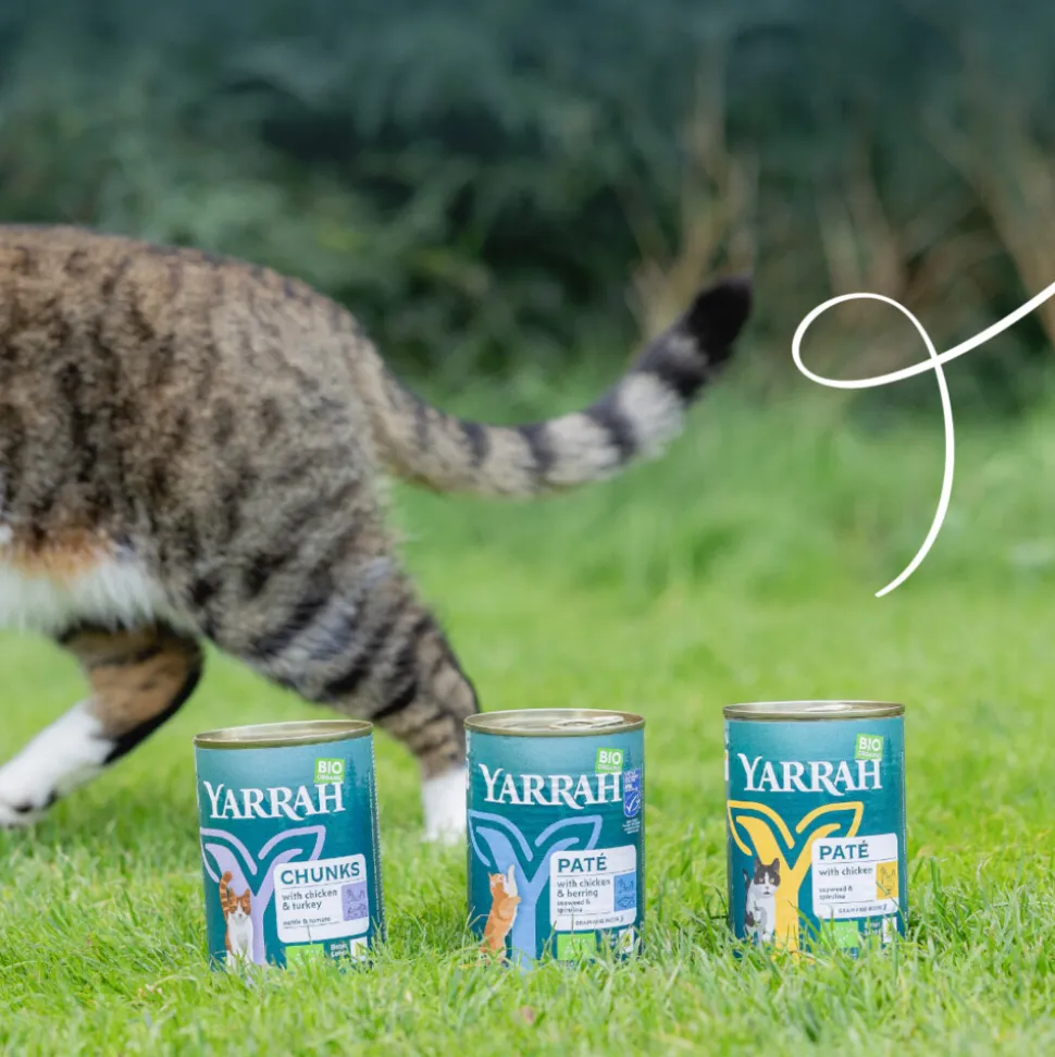 Yarrah Bio Kattenvoer Paté Kip 400 gr