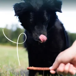 Yarrah Bio Kauwstaafjes Hond Rund 3 stuks